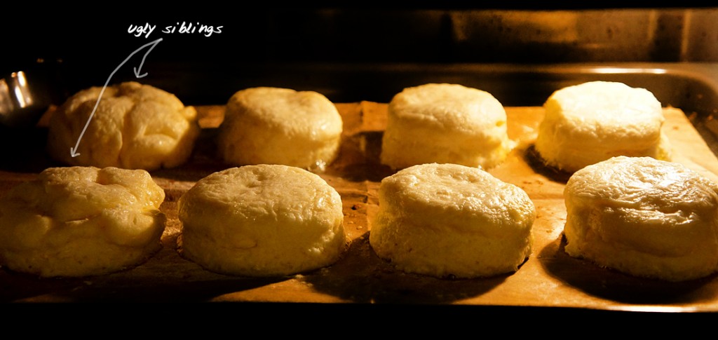 biscuits