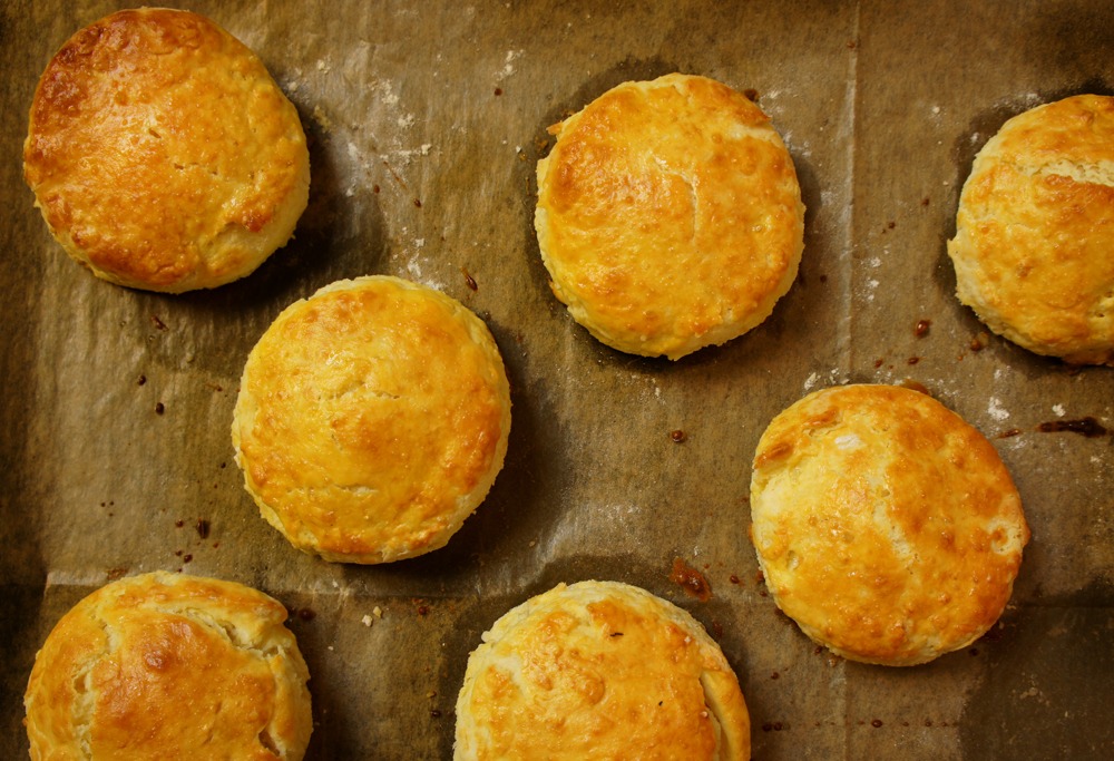 biscuit