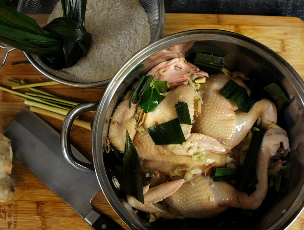 chicken rice