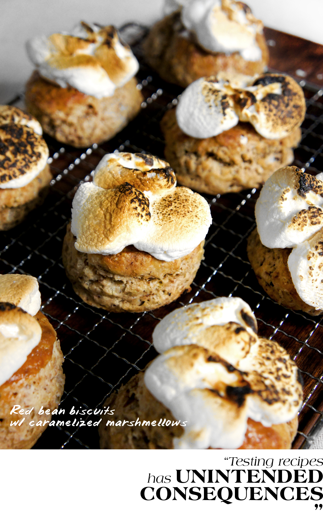 red bean biscuit featured header