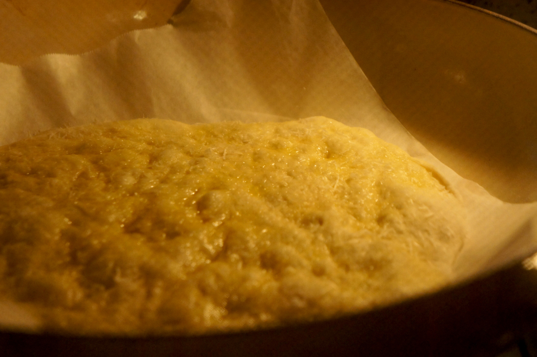 bonci-pizza-(5)