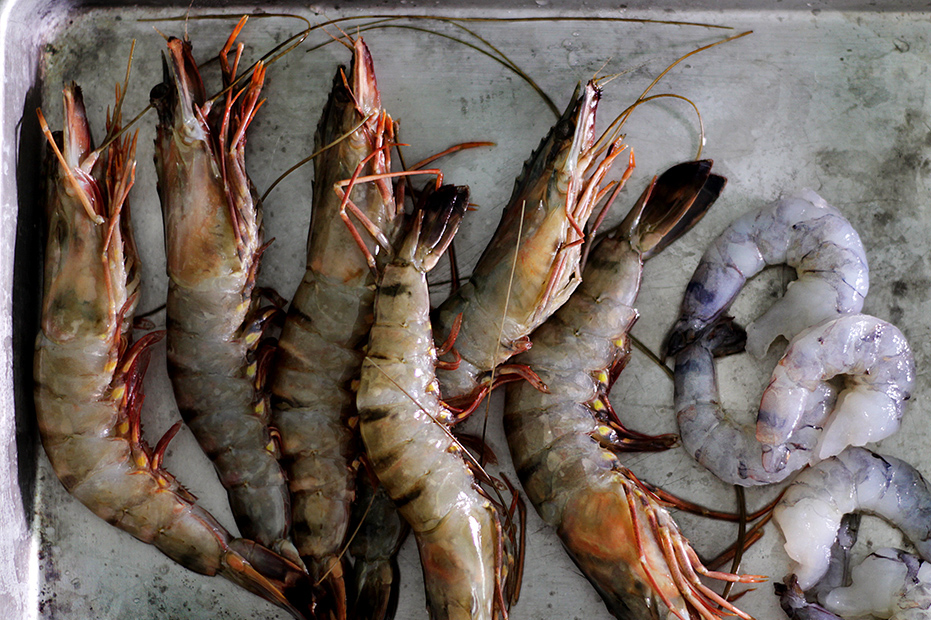 shrimp-roll2
